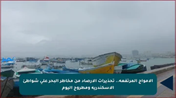 الأمواج المرتفعة.. تحذيرات الأرصاد من مخاطر البحر على شواطئ الإسكندرية ومطروح اليوم